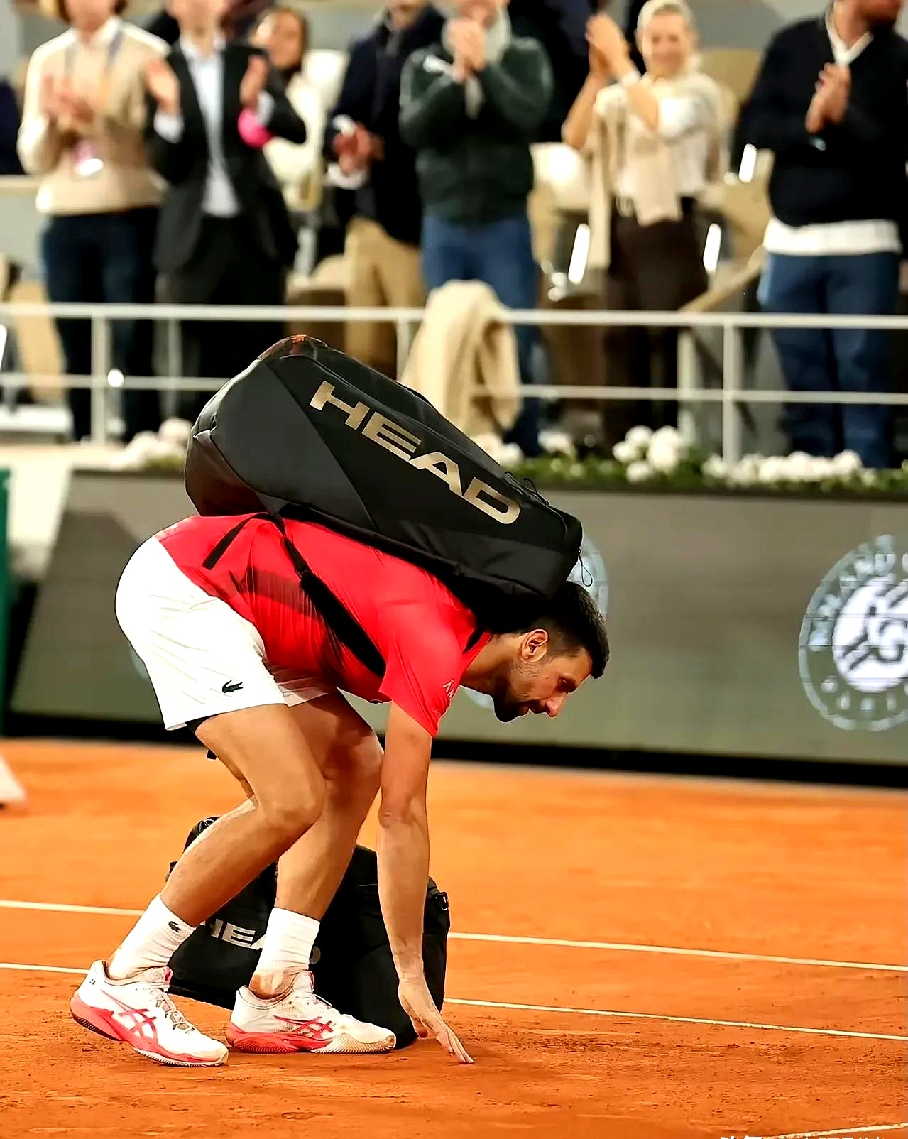 德约科维奇迎来十五赛季高光表现，快船球迷沸腾！(德约科维奇为什么被捕)